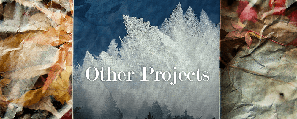 Other Projects